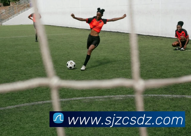 星空体育平台生态图